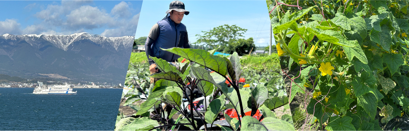 野菜と旅する